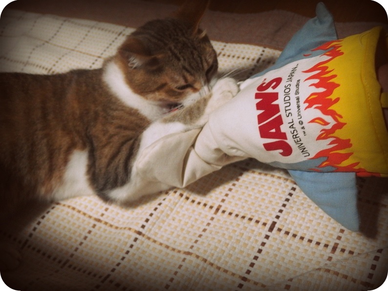 f:id:Tomy103103:20160706231439j:plain f:id:Tomy103103:20160706231439j:plain