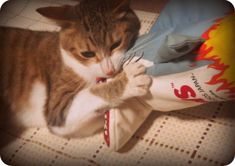 f:id:Tomy103103:20160706231440j:plain f:id:Tomy103103:20160706231440j:plain