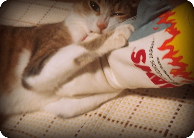 f:id:Tomy103103:20160706231441j:plain f:id:Tomy103103:20160706231441j:plain