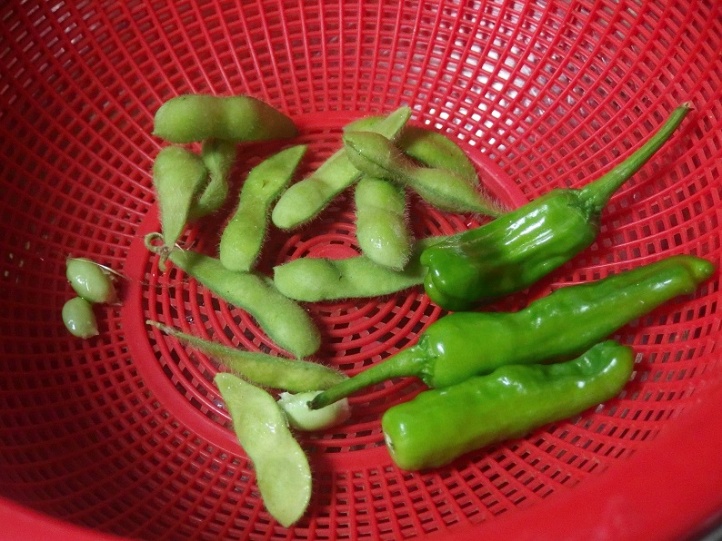 f:id:Tomy103103:20160715004420j:plain