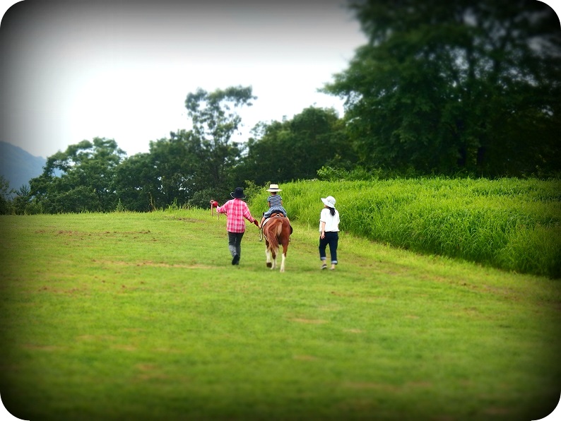 f:id:Tomy103103:20160725142818j:plain f:id:Tomy103103:20160725142818j:plain