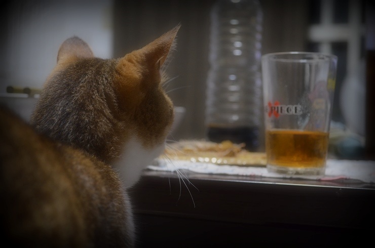 f:id:Tomy103103:20160803005342j:plain f:id:Tomy103103:20160803005342j:plain