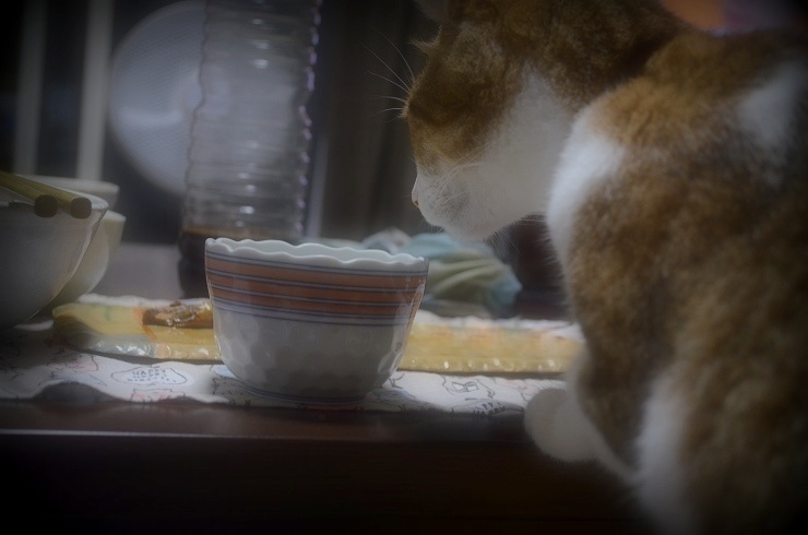 f:id:Tomy103103:20160803005409j:plain f:id:Tomy103103:20160803005409j:plain