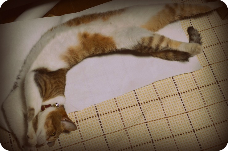 f:id:Tomy103103:20160804012818j:plain f:id:Tomy103103:20160804012818j:plain