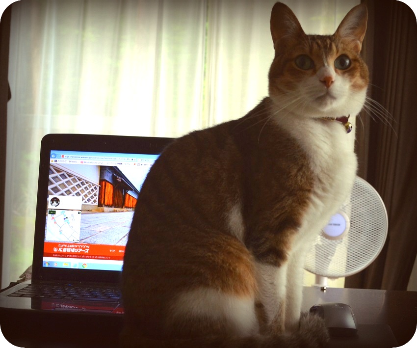 f:id:Tomy103103:20160907004451j:plain f:id:Tomy103103:20160907004451j:plain