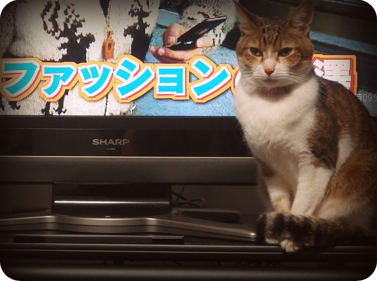 f:id:Tomy103103:20161012235826j:plain