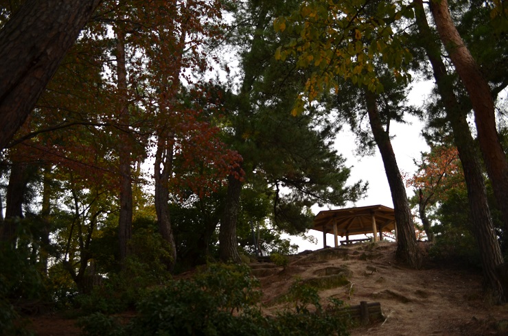 f:id:Tomy103103:20161118015407j:plain