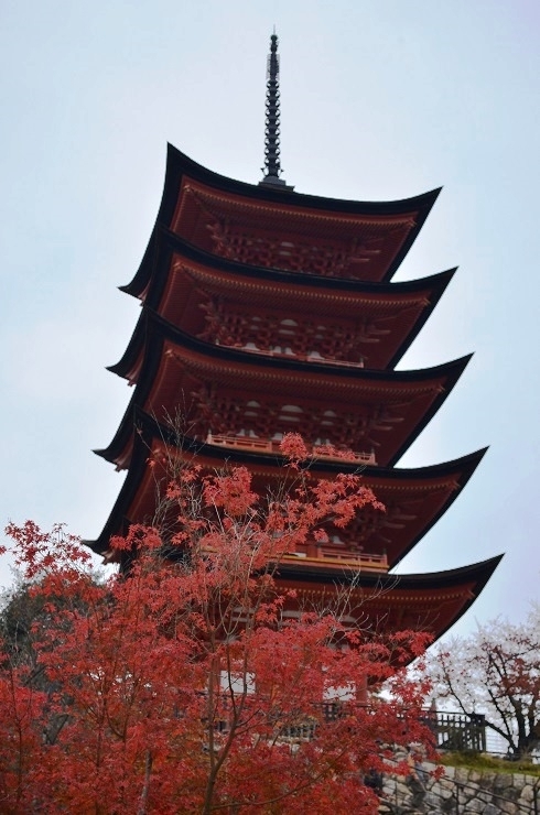 f:id:Tomy103103:20161118015422j:plain