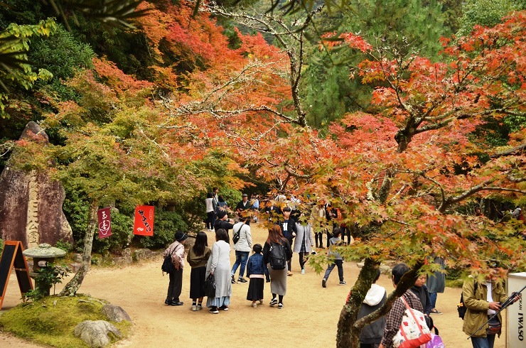 f:id:Tomy103103:20161118015423j:plain