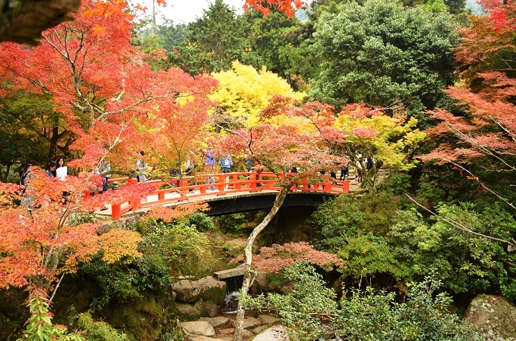 f:id:Tomy103103:20161118015424j:plain