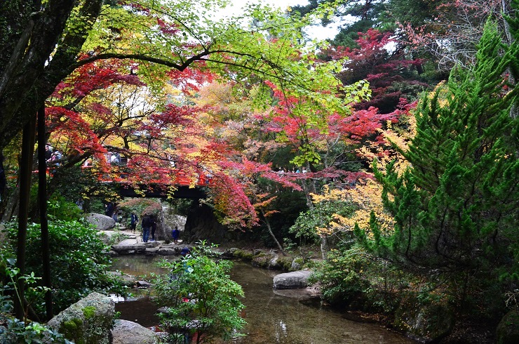 f:id:Tomy103103:20161118015425j:plain