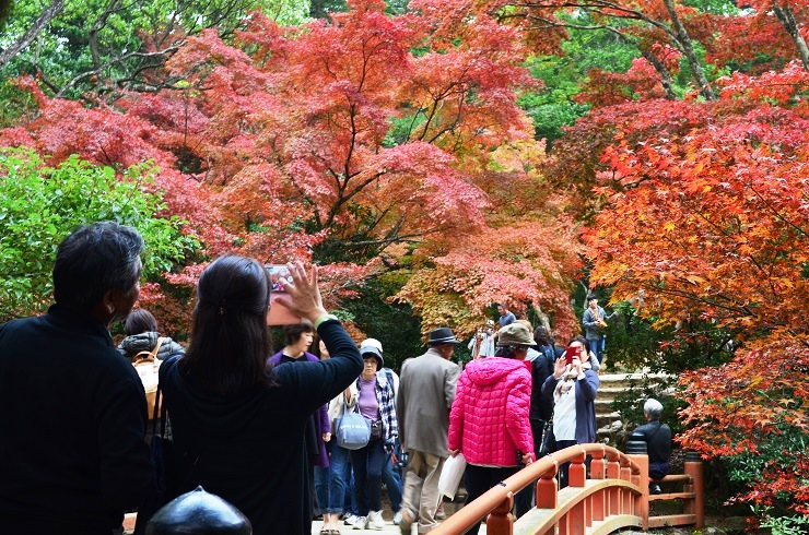 f:id:Tomy103103:20161118015427j:plain