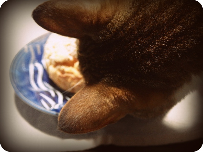 f:id:Tomy103103:20161209001501j:plain