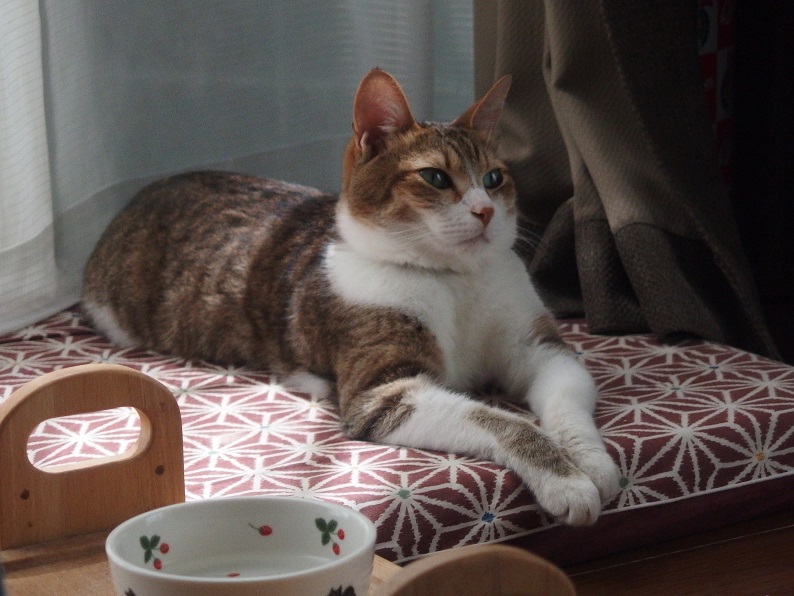 f:id:Tomy103103:20170531232900j:plain