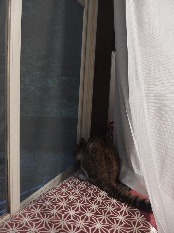 f:id:Tomy103103:20170626230852j:plain