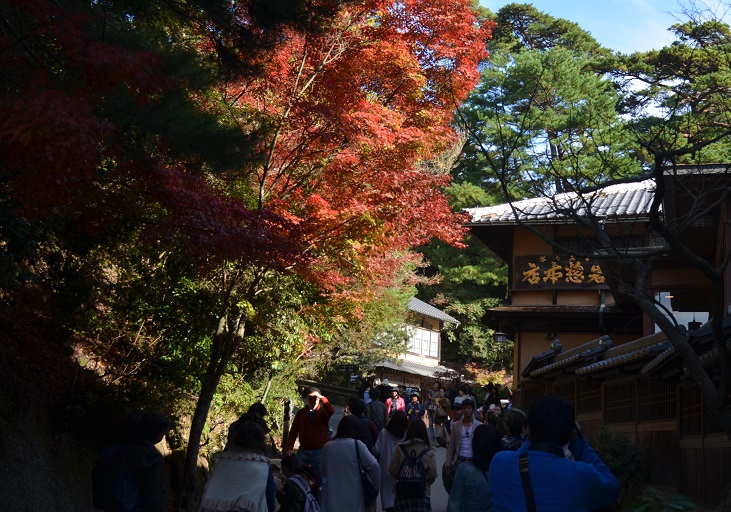 f:id:Tomy103103:20171113113020j:plain f:id:Tomy103103:20171113113020j:plain