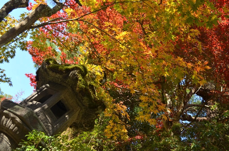 f:id:Tomy103103:20171113113021j:plain f:id:Tomy103103:20171113113021j:plain