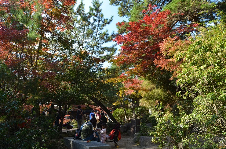 f:id:Tomy103103:20171113113022j:plain f:id:Tomy103103:20171113113022j:plain