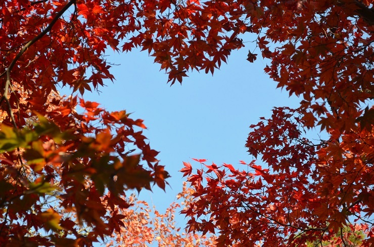 f:id:Tomy103103:20171113113024j:plain f:id:Tomy103103:20171113113024j:plain