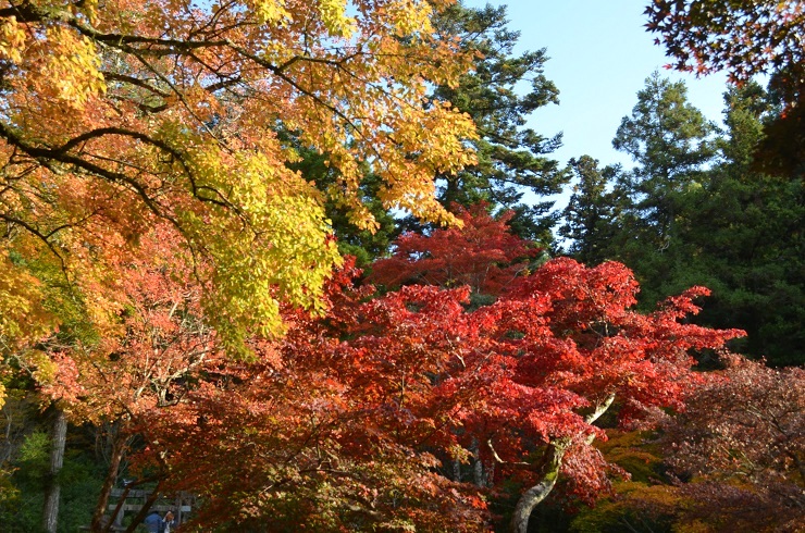 f:id:Tomy103103:20171113113025j:plain f:id:Tomy103103:20171113113025j:plain