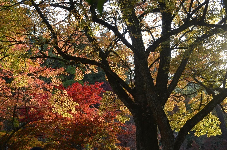 f:id:Tomy103103:20171113113026j:plain f:id:Tomy103103:20171113113026j:plain