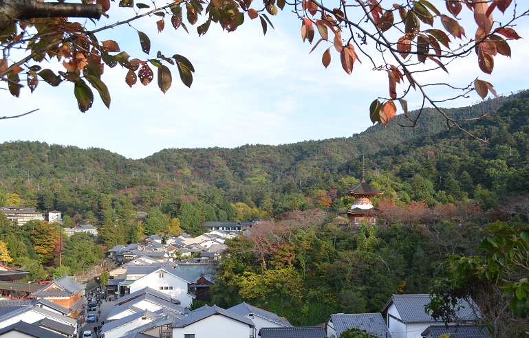 f:id:Tomy103103:20171113113029j:plain f:id:Tomy103103:20171113113029j:plain