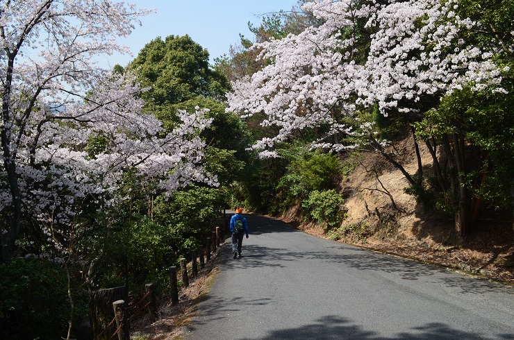 f:id:Tomy103103:20180402183017j:plain f:id:Tomy103103:20180402183017j:plain