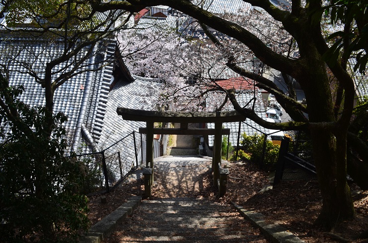 f:id:Tomy103103:20180402183020j:plain f:id:Tomy103103:20180402183020j:plain