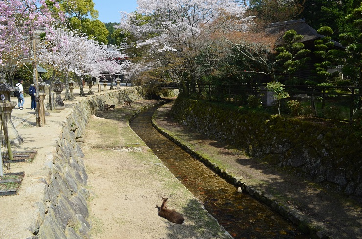 f:id:Tomy103103:20180402183300j:plain f:id:Tomy103103:20180402183300j:plain