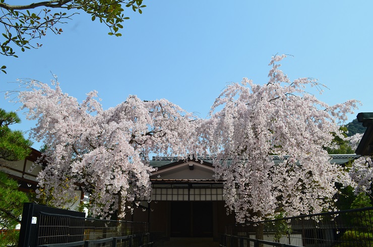 f:id:Tomy103103:20180402183308j:plain f:id:Tomy103103:20180402183308j:plain