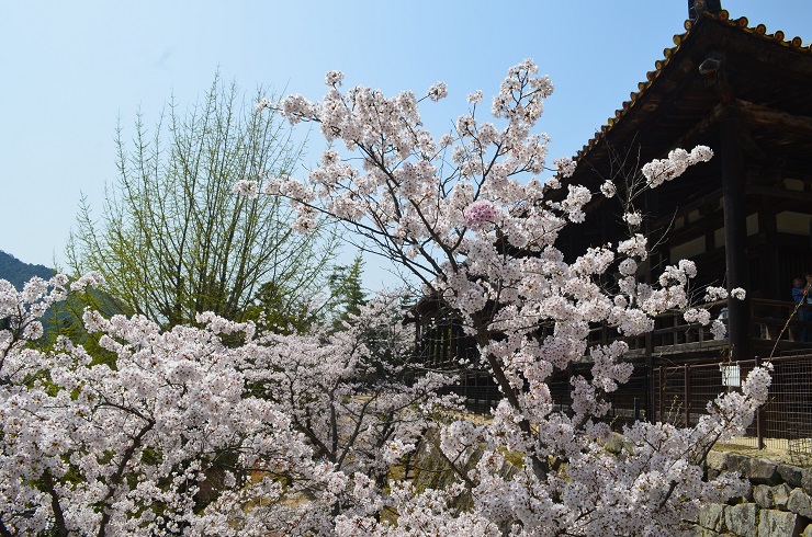 f:id:Tomy103103:20180402183340j:plain f:id:Tomy103103:20180402183340j:plain