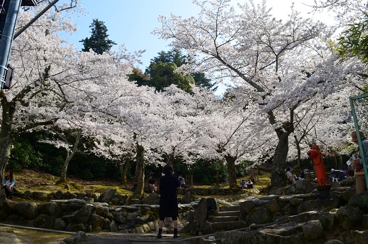 f:id:Tomy103103:20180403110606j:plain f:id:Tomy103103:20180403110606j:plain