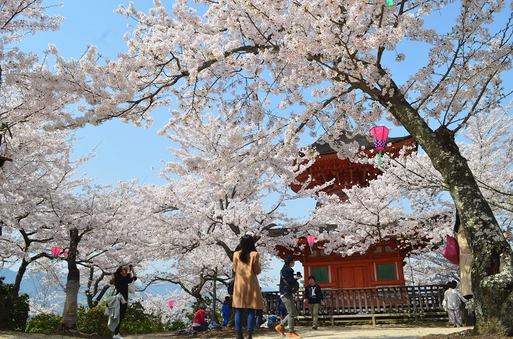 f:id:Tomy103103:20180403110616j:plain f:id:Tomy103103:20180403110616j:plain