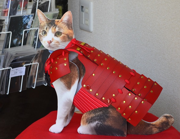 f:id:Tomy103103:20180403110619j:plain f:id:Tomy103103:20180403110619j:plain