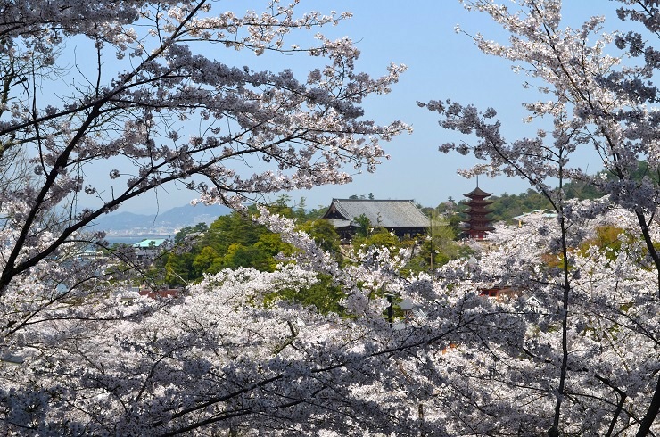 f:id:Tomy103103:20180403113309j:plain f:id:Tomy103103:20180403113309j:plain