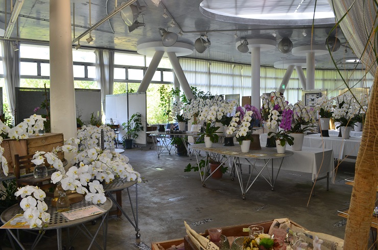 f:id:Tomy103103:20180507120724j:plain