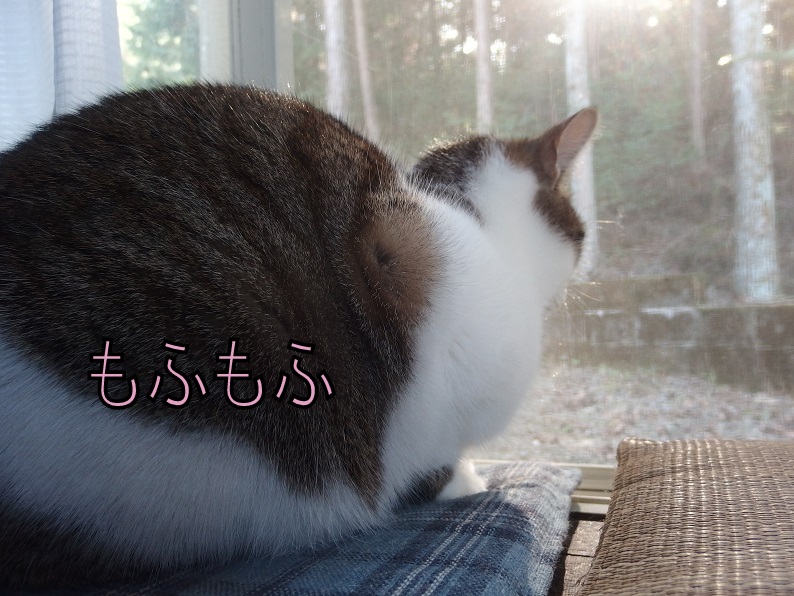 f:id:Tomy103103:20190109203544j:plain