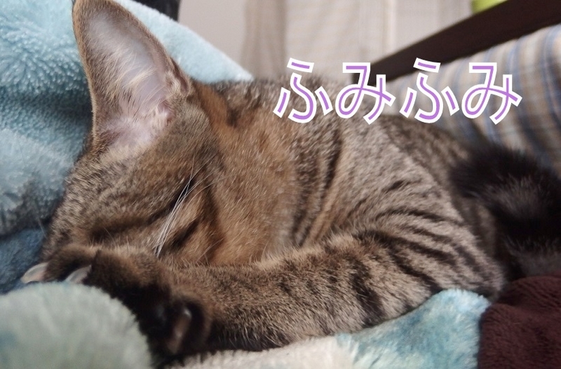 f:id:Tomy103103:20190111090111j:plain