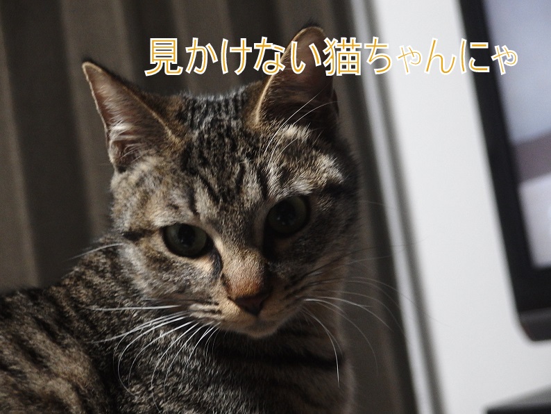 f:id:Tomy103103:20190116205949j:plain