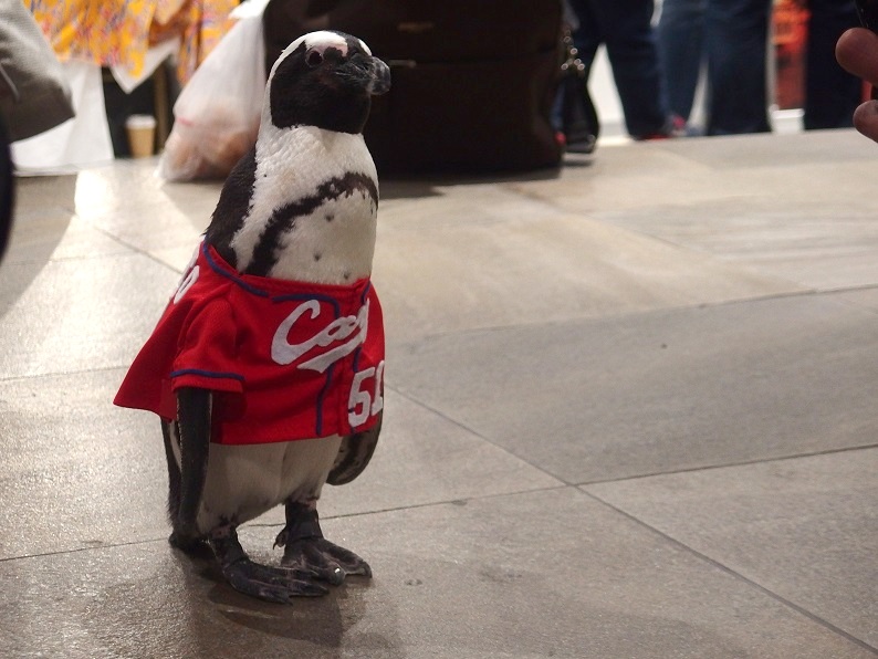 f:id:Tomy103103:20190120210522j:plain