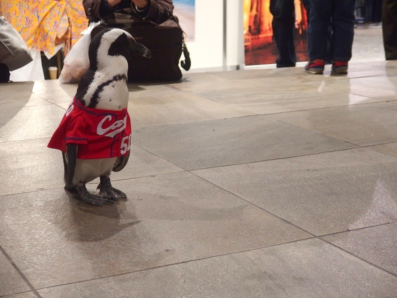 f:id:Tomy103103:20190120210525j:plain