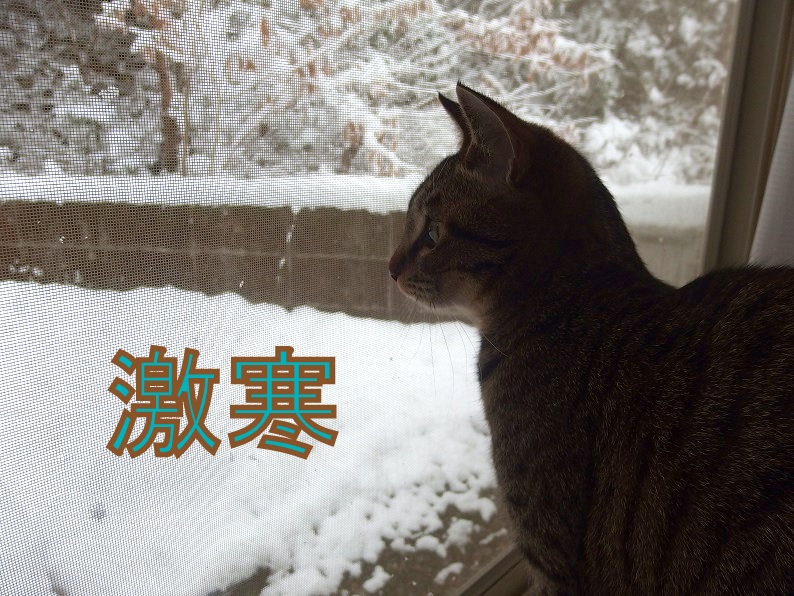 f:id:Tomy103103:20190201095141j:plain