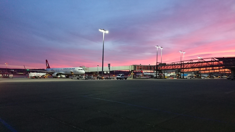 空港 マイル 修行 上級会員 スターアライアンス ゴールド
