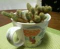 20070320121711