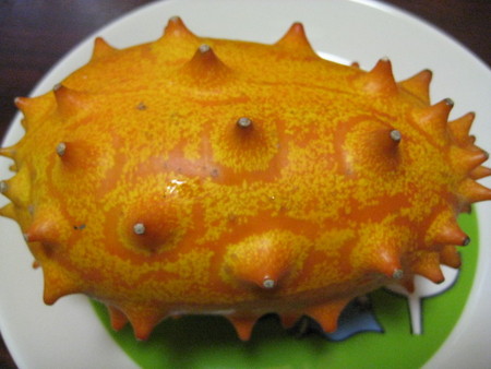 f:id:Too:20080713091147j:image