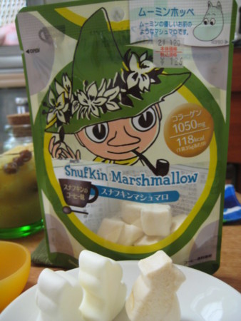 f:id:Too:20090729105212j:image