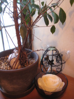 f:id:Too:20100111132955j:image