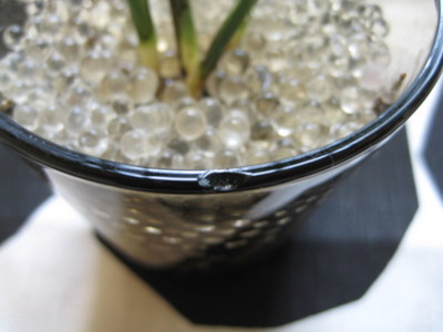 f:id:Too:20100111133608j:image