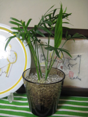 f:id:Too:20100111133620j:image