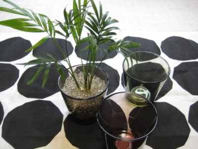 f:id:Too:20100111133621j:image